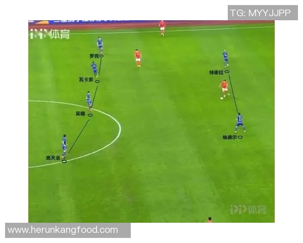 重庆排球队盯防打法深度解析与战术应用探讨