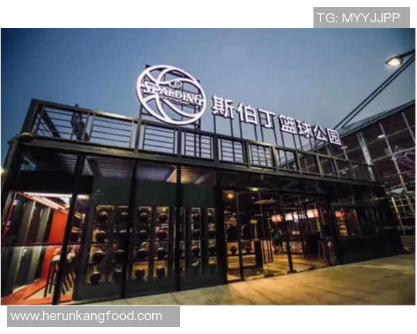 南京篮球队的控制革新探索与实践：重塑球队未来的战略路径与发展方向