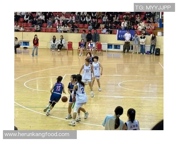 广州篮球队的灵活性揭秘：如何在赛场上展现卓越的团队配合与战术智慧