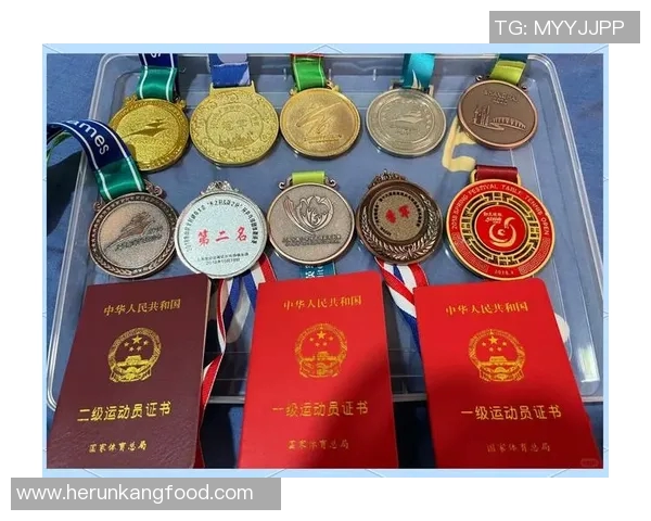 乒乓球专题：深入探讨北京乒乓球队的速度与技术创新之路