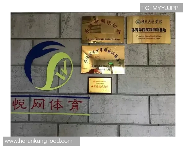 周敏专访：从青涩少年到网球明星的成长之路与心路历程回顾