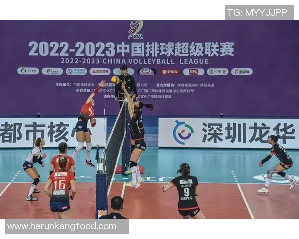 深圳排球队节奏之争引发热议球迷与专家观点碰撞分析 深圳排球队节奏之争引发热议球迷与专家观点碰撞分析