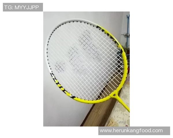 羽毛球爱好者必看护腕选购指南与推荐品牌解析