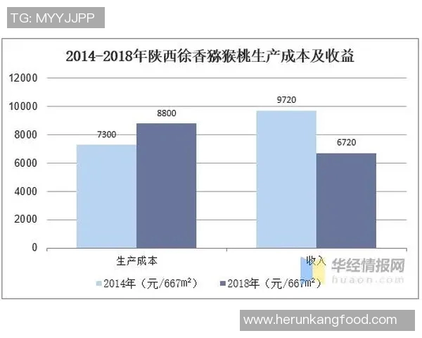 足球明星如何通过多元化收入渠道实现财富增长与职业发展